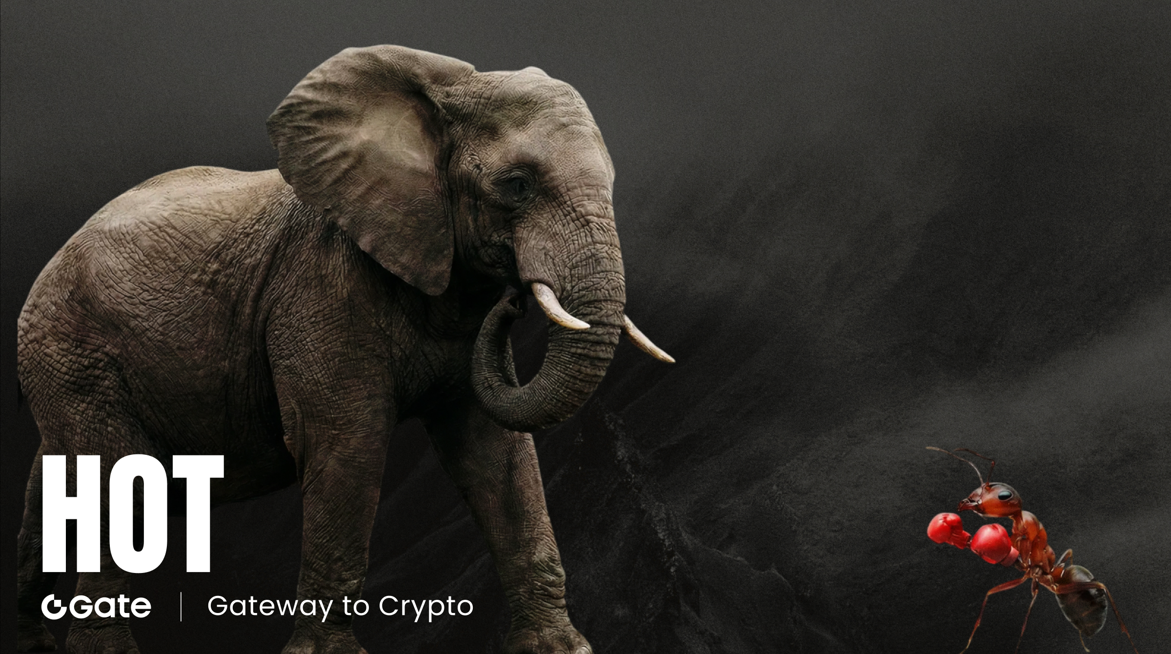 Ondo Finance (ONDO) In-Depth Analysis: TVL Expansion and the Value Capture Debate in Tokenized Markets